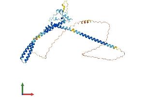 AlphaFold protein structure predicition of Human Recombinant LUC7L3 Protein, UniprotID O95232