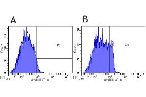 Flow-cytometry using anti-CD4 antibody MT310   Cynomolgus monkey lymphocytes were stained with an isotype control (panel A) or the rabbit-chimeric version of MT310 ( panel B) at a concentration of 1 µg/ml for 30 mins at RT.