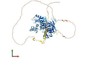 AlphaFold protein structure predicition of Mouse Recombinant Gspt2 Protein, UniprotID Q149F3