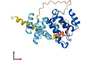 AlphaFold protein structure predicition of Human Recombinant ARHGAP11B Protein, UniprotID Q3KRB8