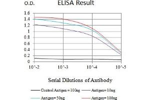 Black line: Control Antigen (100 ng),Purple line: Antigen (10 ng), Blue line: Antigen (50 ng), Red line:Antigen (100 ng) (SALL4 抗体  (AA 96-359))
