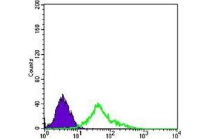 Flow cytometric analysis of EC cells using NGFR mouse mAb (green) and negative control (purple). (NGFR 抗体)