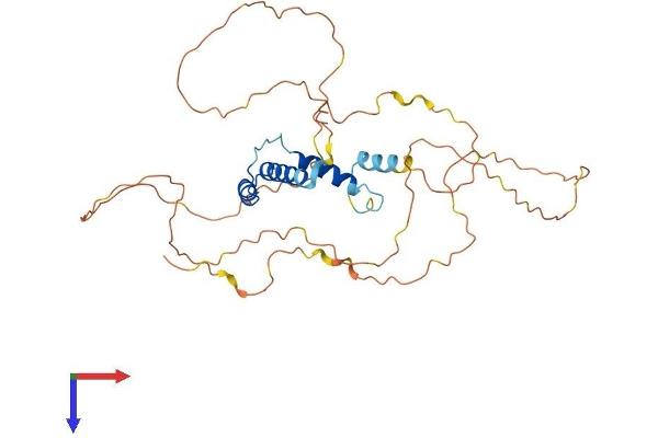 SSBP2 Protein (AA 1-361) (His tag)