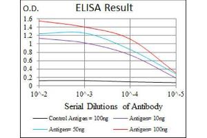 ELISA image for anti-Keratin 5 (KRT5) (AA 316-590) antibody (ABIN1845567) (Cytokeratin 5 抗体  (AA 316-590))