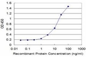Detection limit for recombinant GST tagged CRLF1 is approximately 1ng/ml as a capture antibody. (CRLF1 抗体  (AA 135-230))