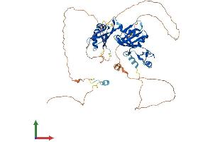 Protein Structure (PS) image for Cytoplasmic Polyadenylation Element Binding Protein 1 (CPEB1) (AA 1-566) protein (His tag) (ABIN7553540)