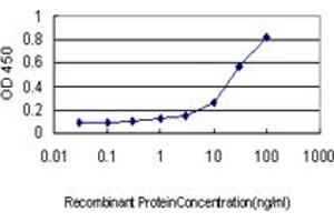 Detection limit for recombinant GST tagged CSE1L is approximately 0. (Exportin 2 抗体  (AA 872-971))