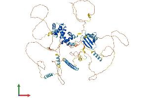 Protein Structure (PS) image for Axin 2 (AXIN2) (AA 1-840) protein (His tag) (ABIN7562630)