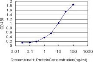 Detection limit for recombinant GST tagged RP6-213H19. (STK26/MST4 抗体  (AA 1-137))