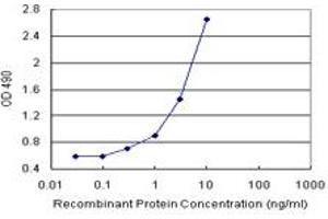 Sandwich ELISA detection sensitivity ranging from 0. (TWF1 (人) Matched Antibody Pair)