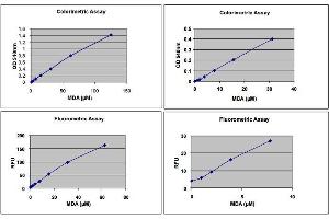 Immunoassay (IA) image for OxiSelect™ TBARS Assay Kit (MDA Quantitation) (ABIN2344986)