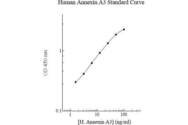 Annexin A3 ELISA 试剂盒