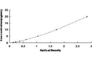 Typical standard curve (Prohibitin ELISA 试剂盒)