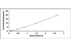 Typical standard curve (Neuregulin 4 ELISA 试剂盒)