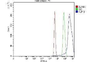 Flow Cytometry analysis of Neuro-2a cells using anti-KLF13 antibody (ABIN7602036). (KLF13 抗体  (AA 56-260))