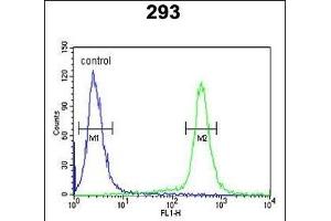 ESPN Antibody (N-term) (ABIN652258 and ABIN2841081) flow cytometric analysis of 293 cells (right histogram) compared to a negative control cell (left histogram). (Espin 抗体  (N-Term))