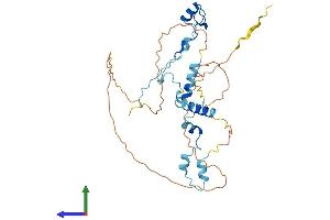 Protein Structure (PS) image for PIN2/TERF1 Interacting, Telomerase Inhibitor 1 (PINX1) (AA 1-332) protein (His tag) (ABIN7560807)