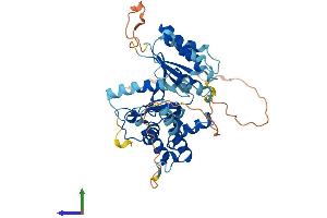 Protein Structure (PS) image for Ubiquitin-Conjugating Enzyme E2Q Family Member 1 (UBE2Q1) (AA 1-422) protein (His tag) (ABIN7544843)