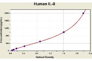 Interleukin 8 (IL8) ELISA Kit