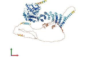 Protein Structure (PS) image for SCY1-Like 2 (SCYL2) (AA 1-930) protein (His tag) (ABIN7564555)
