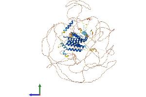 Protein Structure (PS) image for AF4/FMR2 Family, Member 4 (AFF4) (AA 1-1163) protein (His tag) (ABIN7551987)