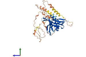 Protein Structure (PS) image for N(alpha)-Acetyltransferase 30, NatC Catalytic Subunit (NAA30) (AA 1-362) protein (His tag) (ABIN7549623)