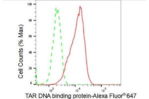 Flow cytometric analysis of TAR DNA binding protein expression in C2C12 cells using TAR DNA binding protein antibody (ABIN7800512), 1:2,000).