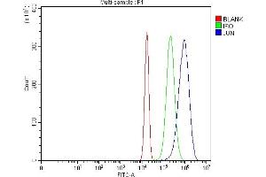 Flow Cytometry analysis of U20S cells using anti-C-Jun/JUN antibody (ABIN7601421). (C-JUN 抗体  (AA 35-331))
