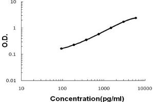 Sandwich ELISA - Recombinant rat Cardiac FABP/Fabp3 protein standard curve.