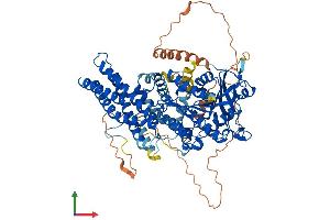 AlphaFold protein structure predicition of Mouse Recombinant Lipe Protein, UniprotID P54310