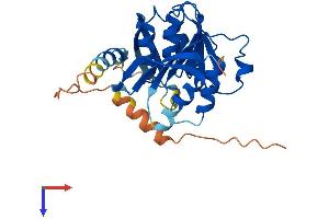 AlphaFold protein structure predicition of Human Recombinant METTL21EP Protein, UniprotID A6NDL7