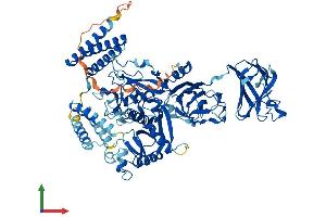 Protein Structure (PS) image for Calpain 7 (CAPN7) (AA 1-813) protein (His tag) (ABIN7556226)