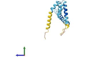 AlphaFold protein structure predicition of Mouse Recombinant Tomm20l Protein, UniprotID Q9D4V6