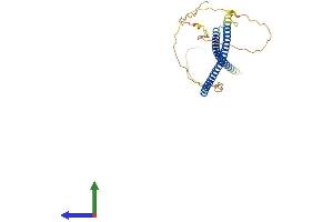 Protein Structure (PS) image for Kinetochore-Localized Astrin/SPAG5 Binding Protein (KNSTRN) (AA 1-316) protein (His tag) (ABIN7555520)