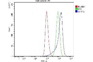 Flow Cytometry analysis of A549 cells using anti-SFXN5 antibody (ABIN7601388). (Sideroflexin 5 抗体  (AA 34-340))