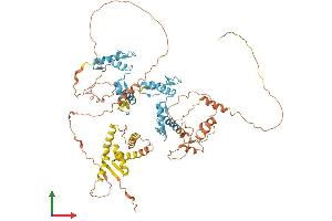 Protein Structure (PS) image for Zinc Finger and BTB Domain Containing 24 (ZBTB24) (AA 1-697) protein (His tag) (ABIN7545241)