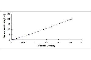 Typical standard curve (Claudin 3 ELISA 试剂盒)