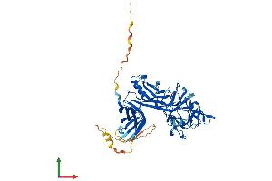 Protein Structure (PS) image for Recombination Signal Binding Protein For Immunoglobulin kappa J Region (RBPJ) (AA 1-500) protein (His tag) (ABIN7555640)