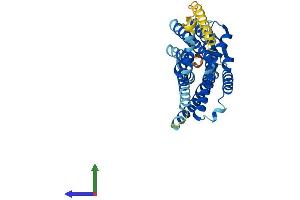 AlphaFold protein structure predicition of Mouse Recombinant Sstr2 Protein, UniprotID P30875