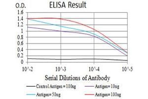 Black line: Control Antigen (100 ng),Purple line: Antigen (10 ng), Blue line: Antigen (50 ng), Red line:Antigen (100 ng) (GRM2 抗体  (AA 414-558))