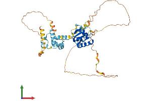 AlphaFold protein structure predicition of Mouse Recombinant Elf3 Protein, UniprotID Q3UPW2