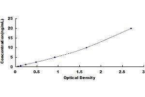 Typical standard curve (SLC12A4 ELISA 试剂盒)
