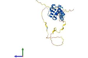 Protein Structure (PS) image for B-Cell CLL/lymphoma 10 (BCL10) (AA 1-233) protein (His tag) (ABIN7552697)