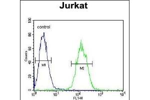 Flow Cytometry (FACS) image for anti-V-Ets erythroblastosis Virus E26 Oncogene Homolog 1 (Avian) (ETS1) (AA 43-70), (N-Term) antibody (ABIN654675)