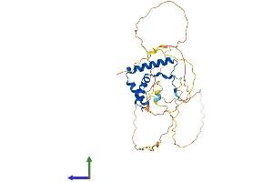 Protein Structure (PS) image for SRY (Sex Determining Region Y)-Box 2 (SOX2) (AA 1-319) protein (His tag) (ABIN7563315)