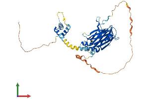 Protein Structure (PS) image for TEA Domain Family Member 1 (SV40 Transcriptional Enhancer Factor) (TEAD1) (AA 1-426) protein (His tag) (ABIN7563079)