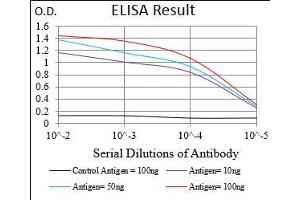 Black line: Control Antigen (100 ng), Purple line: Antigen(10 ng), Blue line: Antigen (50 ng), Red line: Antigen (100 ng), (PLA2G12A 抗体  (AA 21-189))