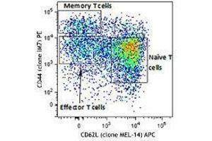 Flow Cytometry (FACS) image for Mouse Naive/Memory T cell ID Panel (ABIN2669200) (小鼠 Naive/Memory T cell ID Panel)