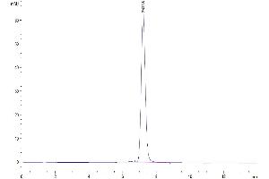 Size-exclusion chromatography-High Pressure Liquid Chromatography (SEC-HPLC) image for Mast Cell Expressed Membrane Protein 1 (MCEMP1) (AA 107-187) protein (Fc Tag) (ABIN7275235)