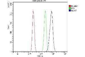 Flow Cytometry analysis of HL-60 cells using anti-NLRX1 antibody (ABIN7602716).
